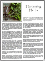 Making Herbal Remedies Reference Manual