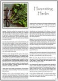 Making Herbal Remedies Reference Manual