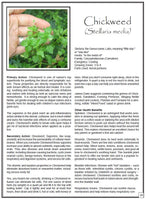 Medicinal Weeds Herbs Reference Manual